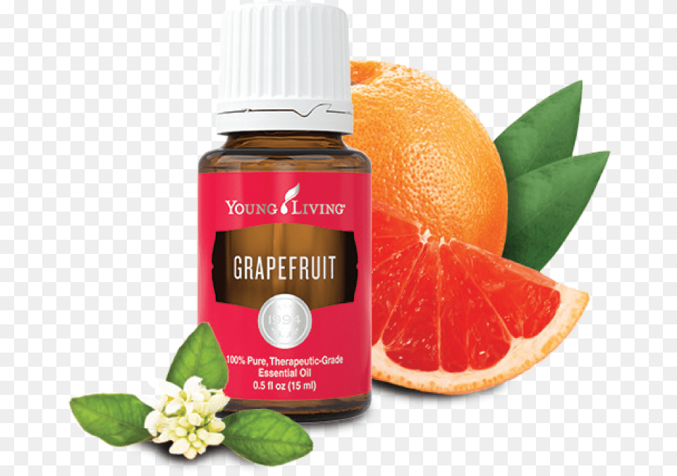 Young Living Grapefruit Essential Oil 15 Ml Young Living Grapefruit Essential Oil, Citrus Fruit, Food, Fruit, Herbal Free Png Download