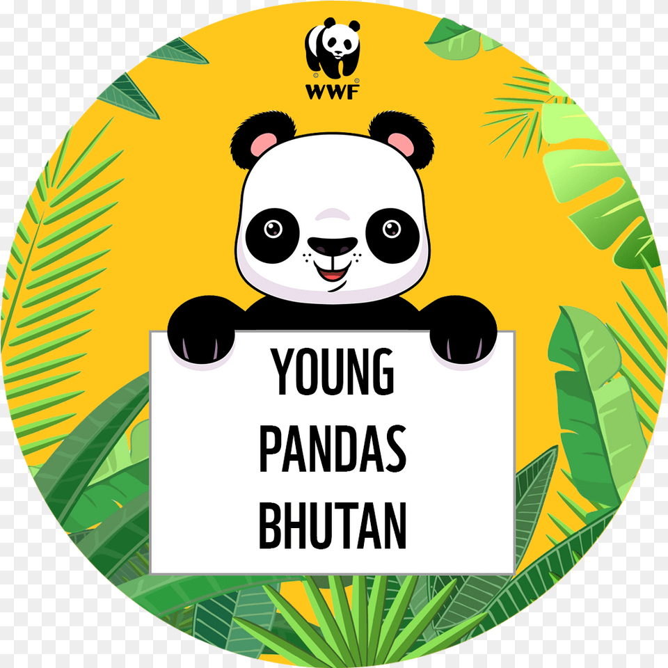 Young Pandas Bhutan Art Competition Living In Harmony With Nature Art, Plant, Vegetation, Leaf, Animal Png