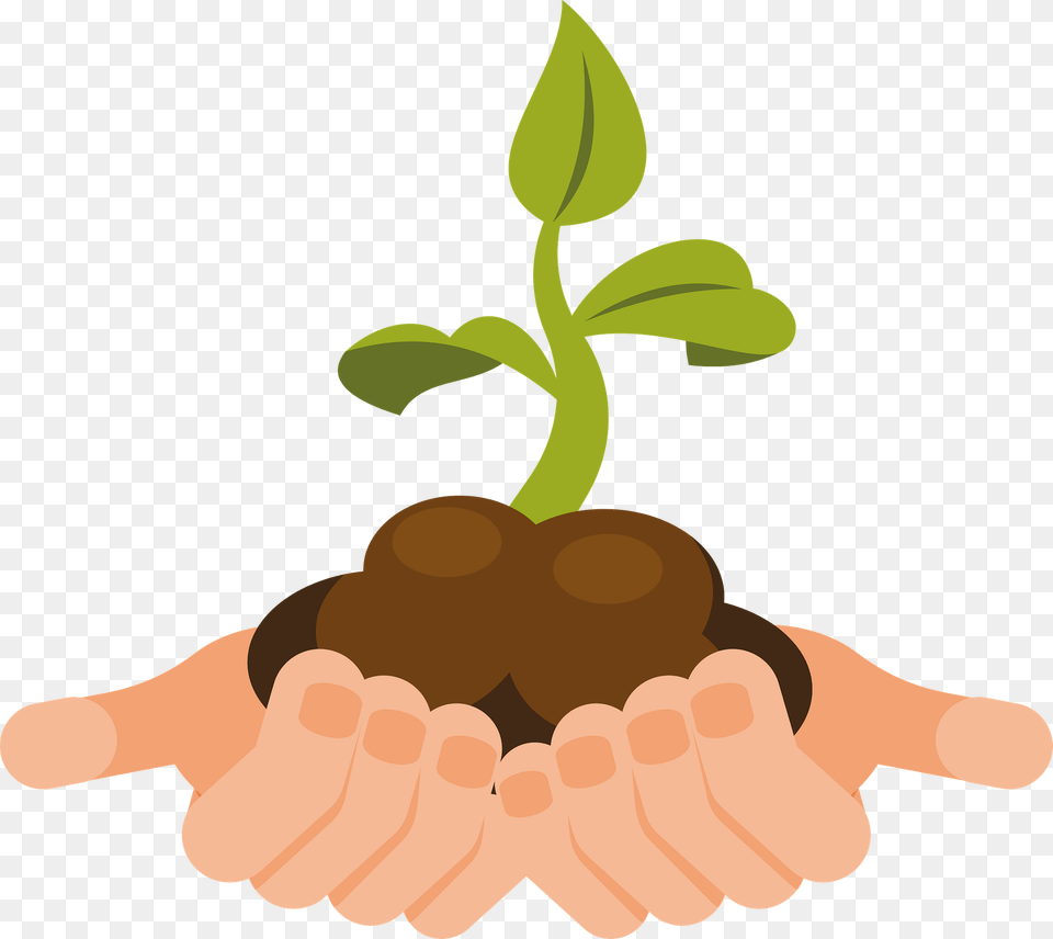 Young Plant In Hand Clipart, Body Part, Person, Soil, Leaf Png