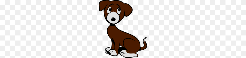 Young Sweet Sad Anxious Dog, Animal, Canine, Mammal, Pet Png Image