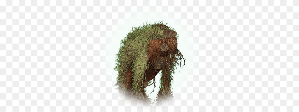 Young Tree Spirit Tree Spirit Bdo, Animal, Mammal, Monkey, Wildlife Png Image