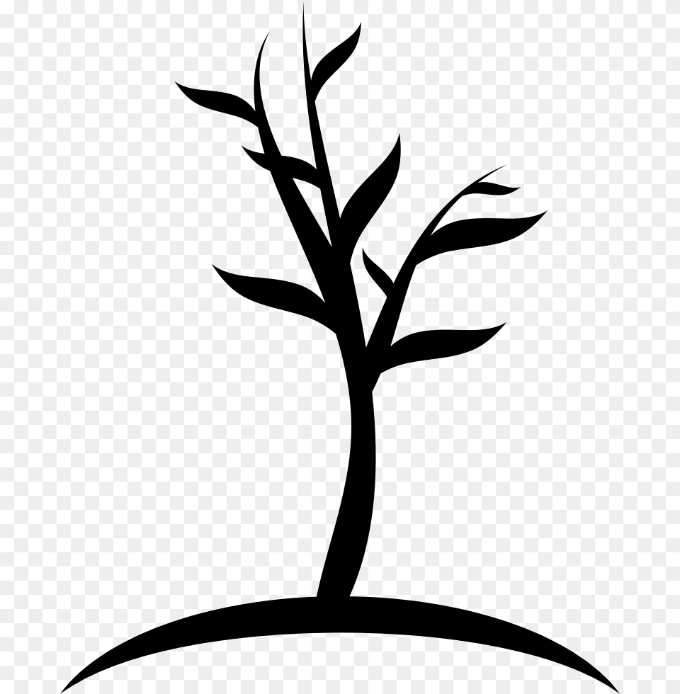 Young Tree Young Tree Icon, Silhouette, Stencil, Art Free Transparent Png