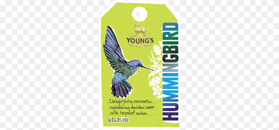 Youngs Hummingbird Youngs Hummingbird, Advertisement, Poster, Animal, Bird Png