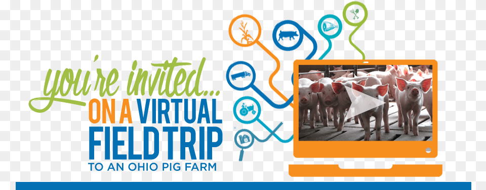 Youquotre Invited On A Virtual Field Trip To An Ohio Pig Salt River Fields At Talking Stick, Animal, Mammal, People, Person Free Transparent Png