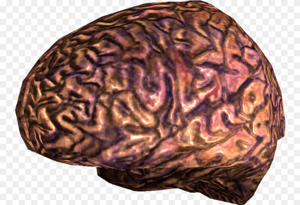 Your Brain Fallout New Vegas, Accessories, Ornament, Gemstone, Jewelry Free Png