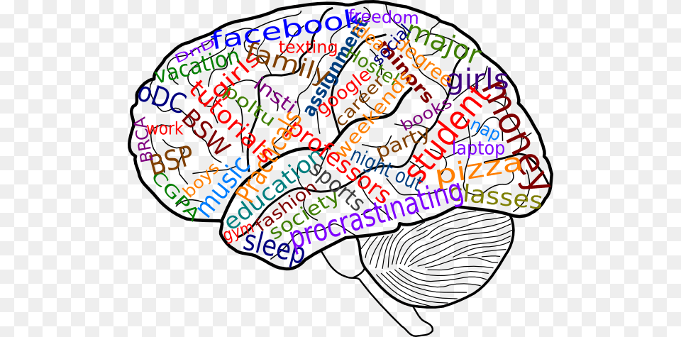 Your Brain On College Clip Art, Doodle, Drawing, Dynamite, Weapon Free Png Download