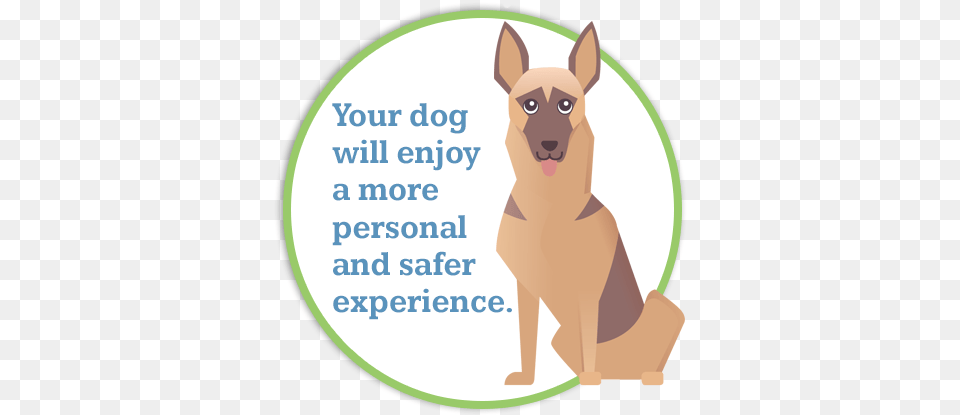 Your Dog Will Enjoy The Temperature Controlled Indoor German Shepherd, Animal, Canine, Mammal, Pet Png Image