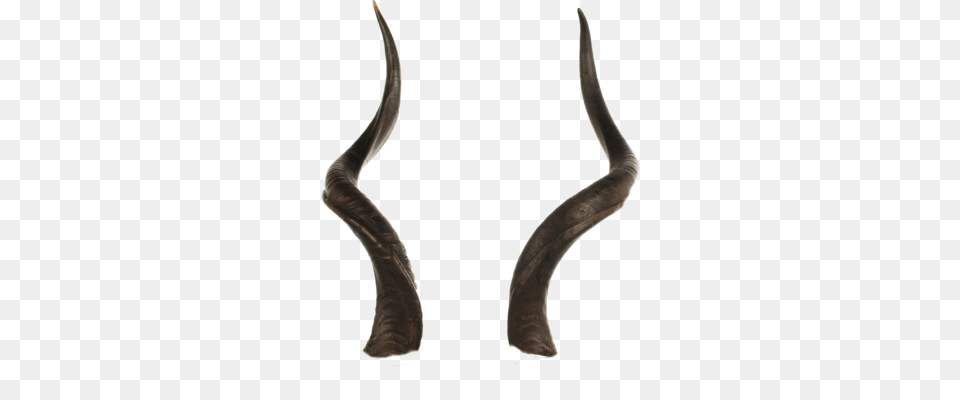 Your Finally Games That Matter Wednesday Open Thread Horns With Transparent Background, Antler, Bow, Weapon Png