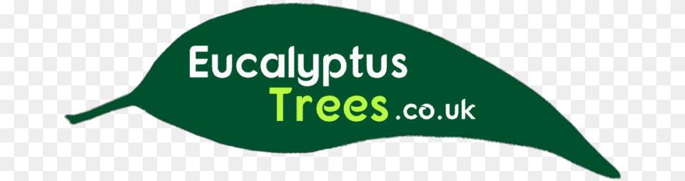 Your Guide To Eucalyptus Gum Trees Eucalyptus Archeri, Leaf, Plant Png Image
