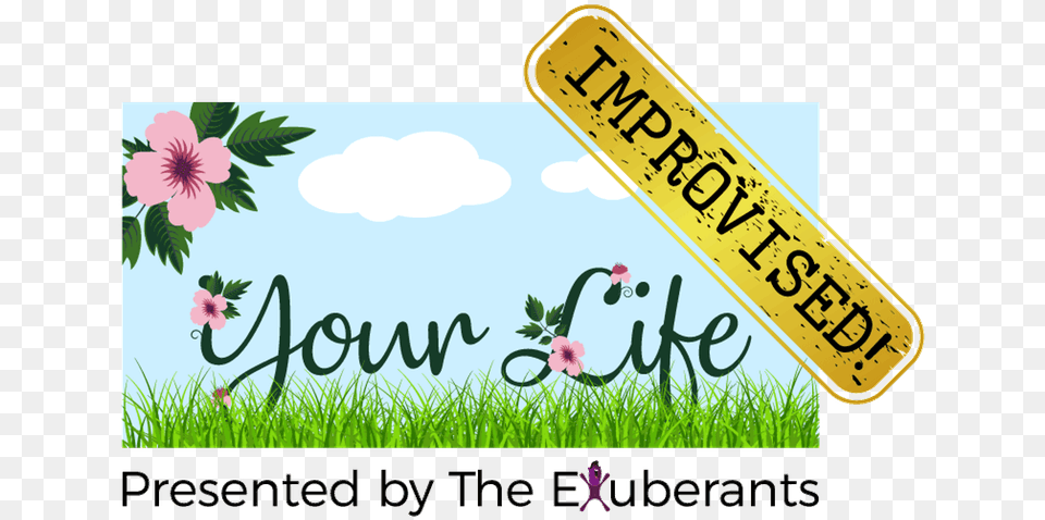 Your Life Improvised Presented Floral Design, License Plate, Transportation, Vehicle, Flower Free Png Download