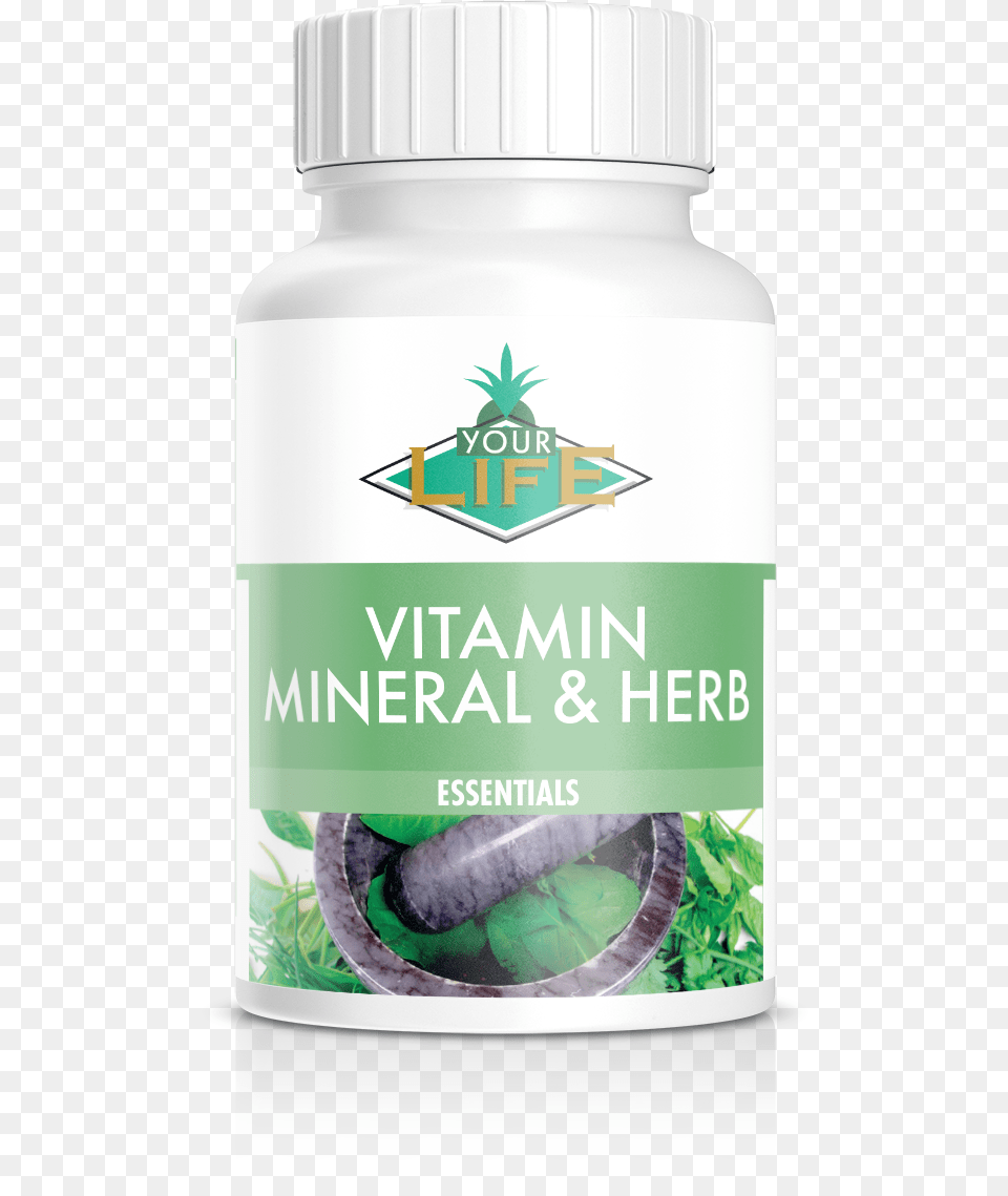 Your Life Vitamin Mineral And Herb, Herbal, Herbs, Plant, Astragalus Free Png