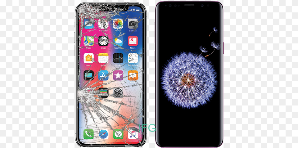 Your Local Repair Store Tech21 Pure Clear Bulletshield Case For Iphone X, Electronics, Mobile Phone, Phone, Flower Free Png Download