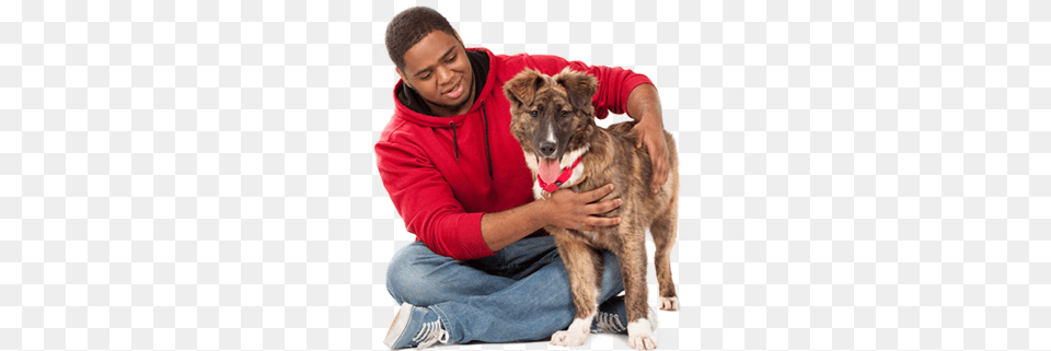 Your New Dog Hinsdale Humane Society, Adult, Male, Man, Person Free Png Download