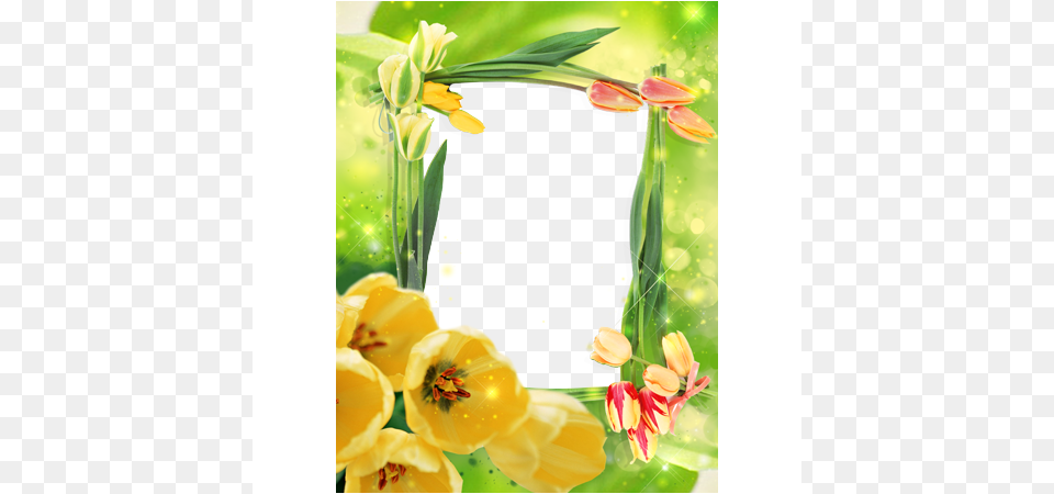 Your Photo Photo Frame Music, Anther, Mail, Greeting Card, Plant Png Image