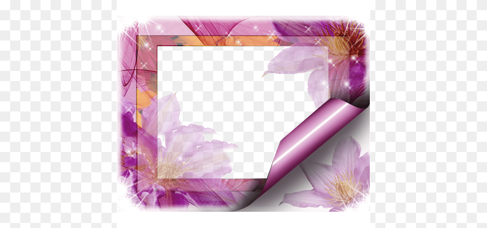 Your Photo Photo Frame Picture Frame, Purple, Flower, Plant, Dahlia Png