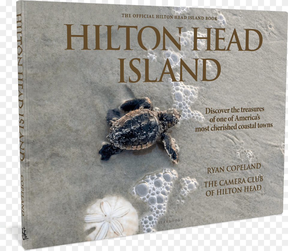 Your Shopping Cart Camera Club Of Hilton Head Book, Animal, Reptile, Sea Life, Sea Turtle Png Image