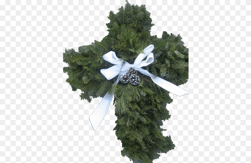 Your Shopping Cart Is Empty Wreath, Plant, Tree, Pine Free Png