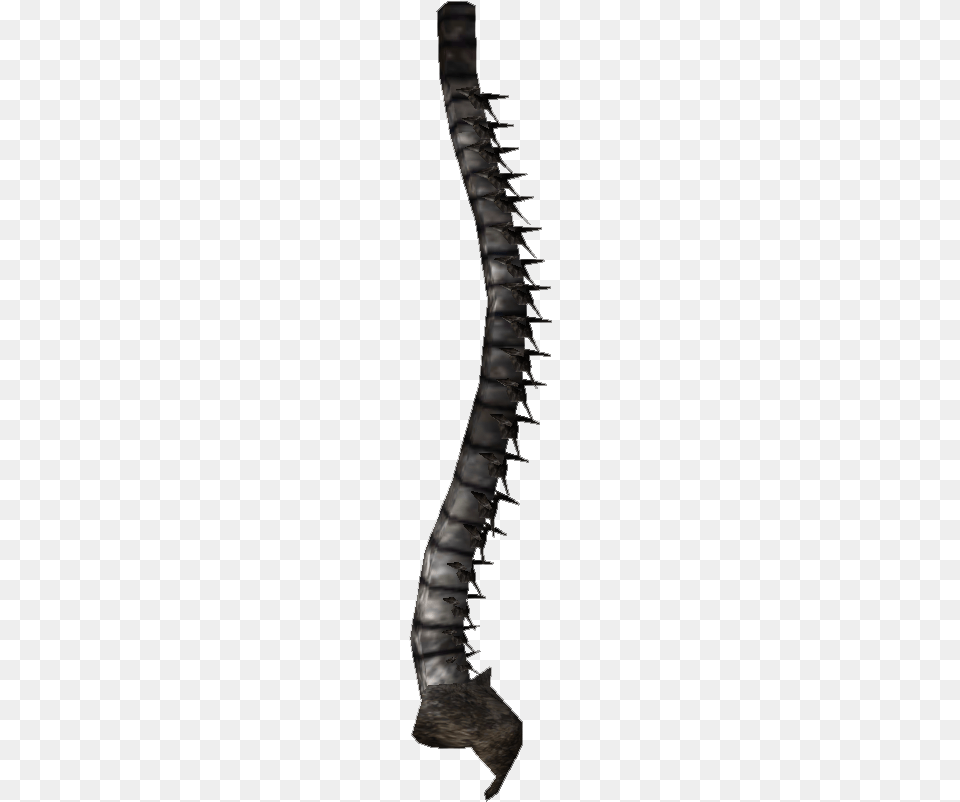Your Spine Spine File, Nature, Outdoors, Spiral, Architecture Free Png