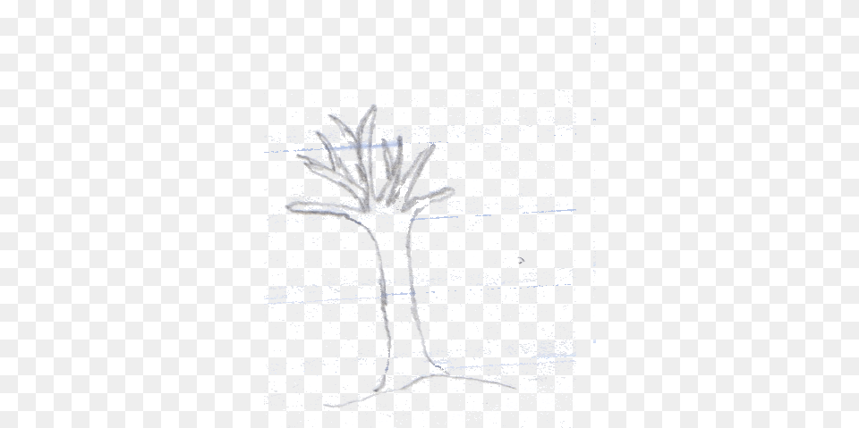 Your Virtual Tree Sketch, Ice, Road, Tarmac, Outdoors Free Png