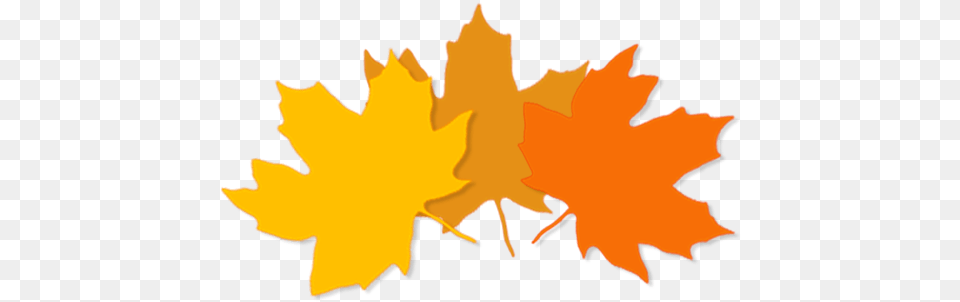 Youtube 128 Sacramento Dinkers Fall Leaf Logos, Plant, Tree, Maple Leaf, Maple Free Transparent Png
