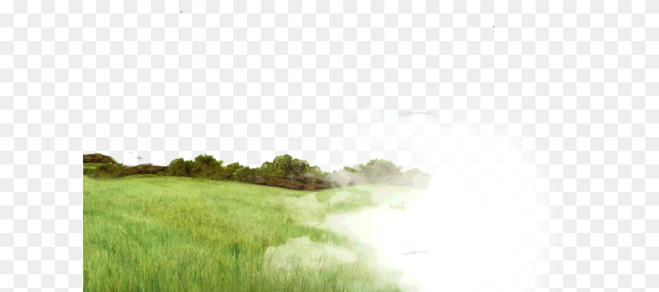 Youtube Clipart Nature Grass, Field, Grassland, Outdoors, Plant Free Transparent Png