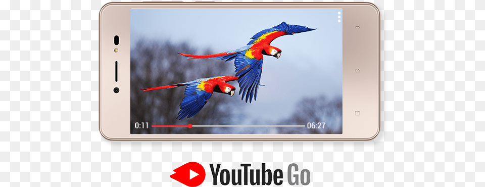 Youtube Logo Black, Animal, Bird, Electronics, Parrot Png