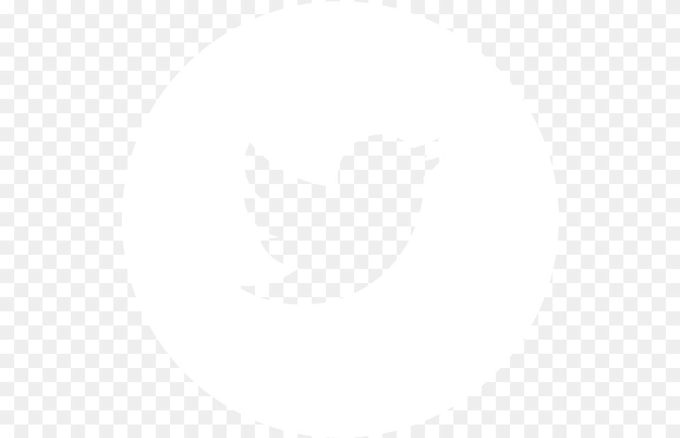 Youtube Logo Twitter Logo Linkedin Logo Twitter White Icon Transparent, Silhouette, Stencil, Astronomy, Moon Free Png Download