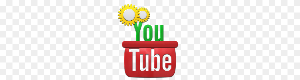 Youtube Video Icon, Plant, Potted Plant, Daisy, Flower Png Image