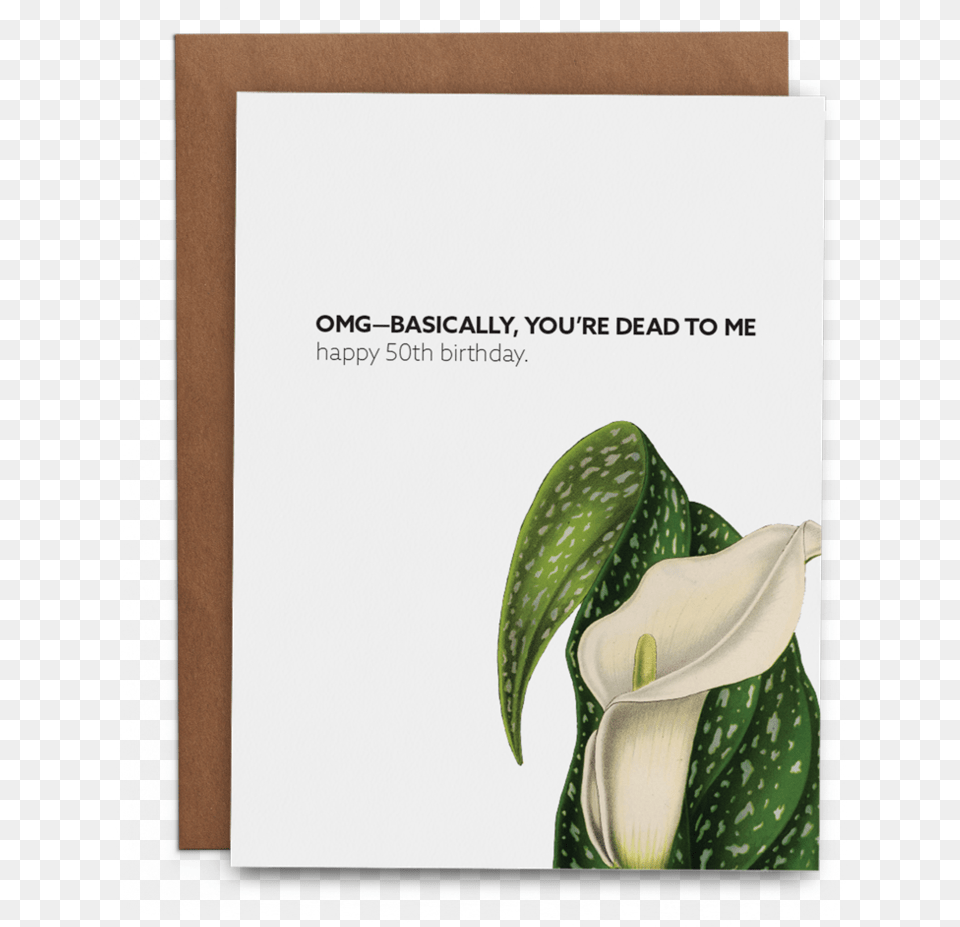 Youu0027re Dead To Me Happy 50th Birthday Greeting Card, Flower, Plant, Araceae Png Image
