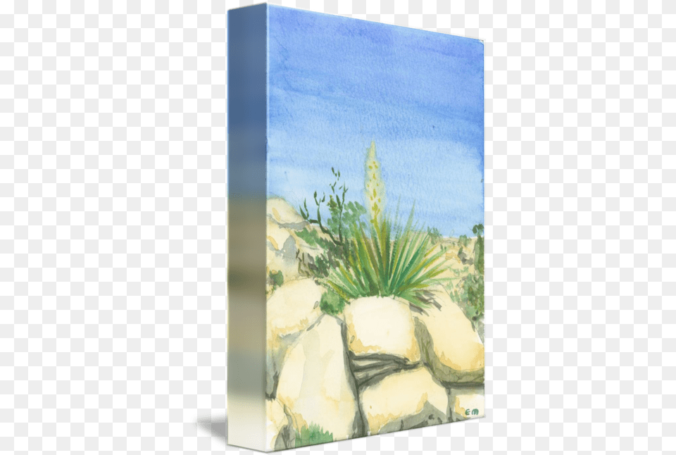Yucca And Rock Study Floral Design, Agavaceae, Art, Painting, Plant Free Transparent Png
