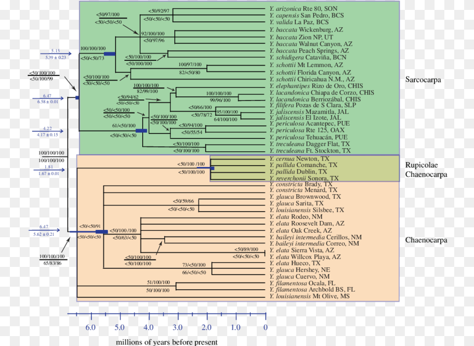 Yucca Based Document, Computer Hardware, Electronics, Hardware, Monitor Png