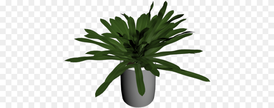 Yucca Palm Tree Small Design And Decorate Your Room In 3d Houseplant, Jar, Leaf, Plant, Planter Free Png Download