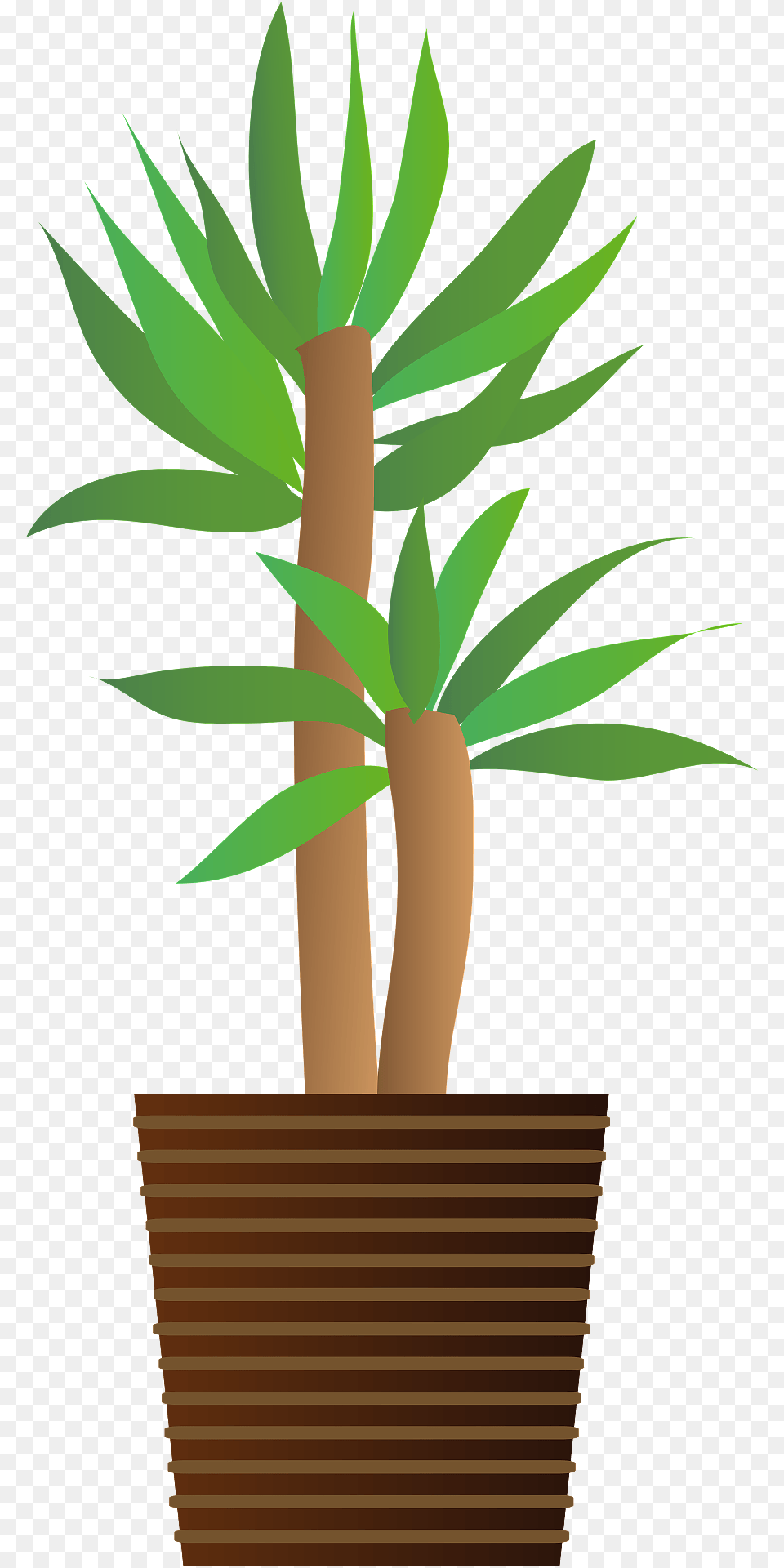 Yucca Plant In A Brown Pot Clipart, Palm Tree, Potted Plant, Tree Png Image