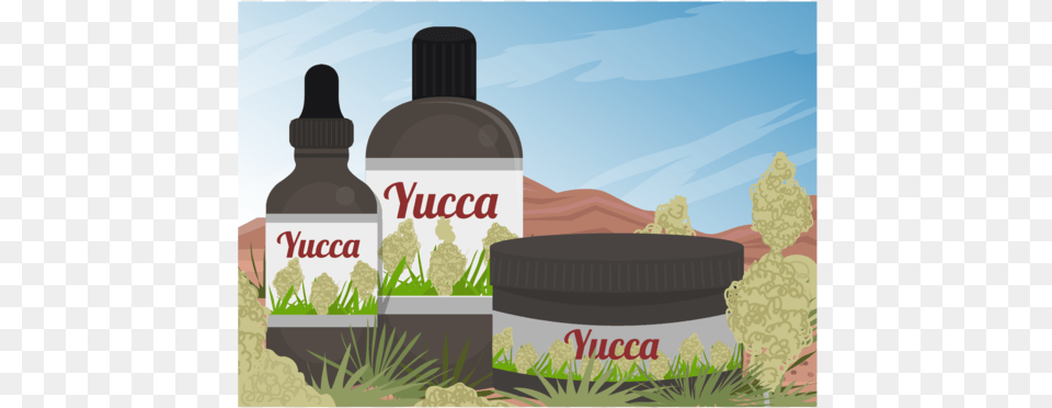 Yucca Scene And Yucca Medicine Extract Of Vector Tree, Bottle, Herbal, Herbs, Plant Png Image
