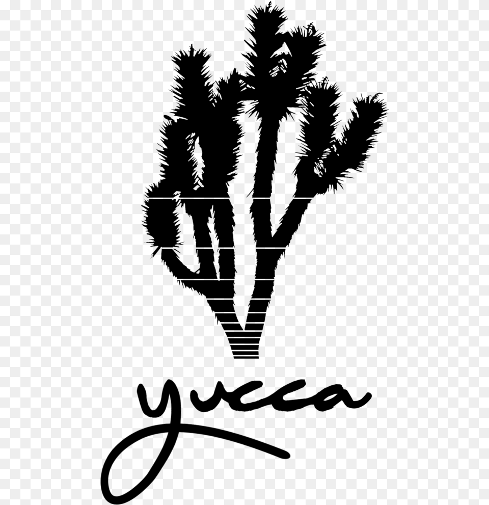 Yucca Shirt1 Joshua Tree Silhouette Vector, Gray Png Image
