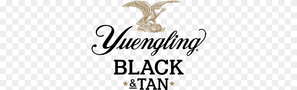 Yuengling Black Amp Tan Logo Yuengling Light Lager, Animal, Bird, Flying Free Png Download