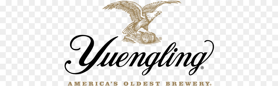 Yuengling Brewery Logomark Yuengling Beer Logo 2017, Animal, Bird Free Png