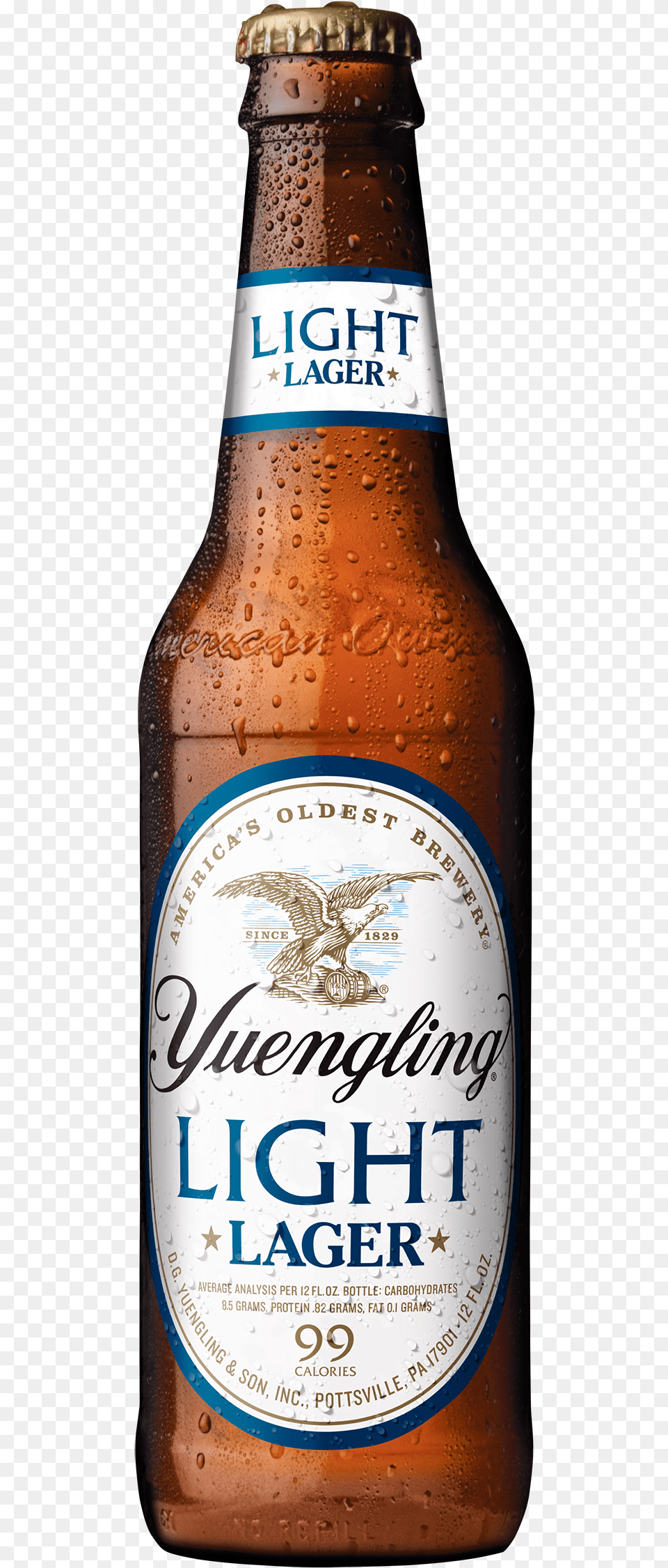 Yuengling Light Lager 99 Calories, Alcohol, Beer, Beer Bottle, Beverage Free Png Download