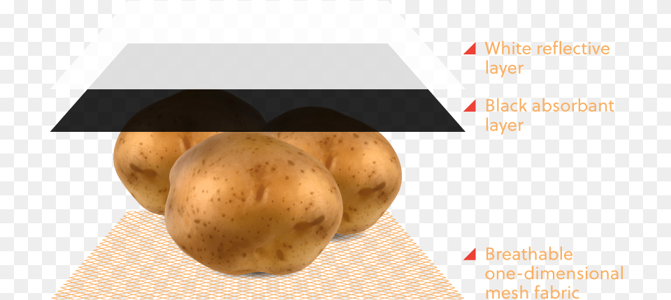 Yukon Gold Potato, Food, Plant, Produce, Vegetable Png Image