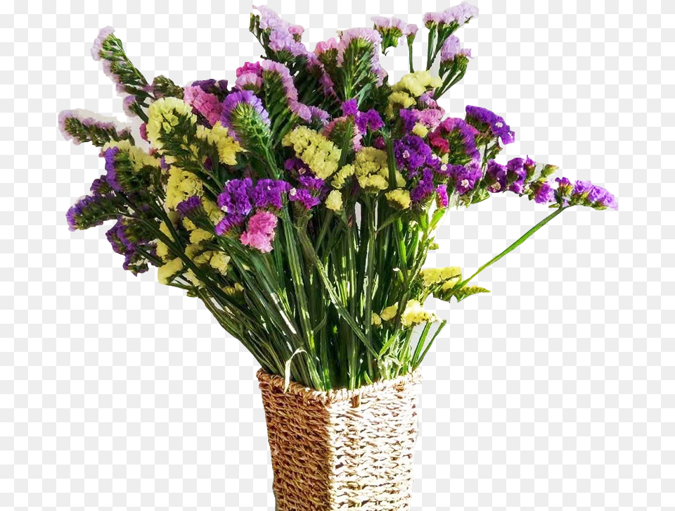 Yunnan Natural Dried Flower Forget Me Really Big Bouquet Bouquet, Flower Arrangement, Flower Bouquet, Plant, Purple Png Image