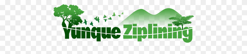 Yunque Ziplining Home Yunque Ziplining, Green, Animal, Zoo, Field Free Png Download