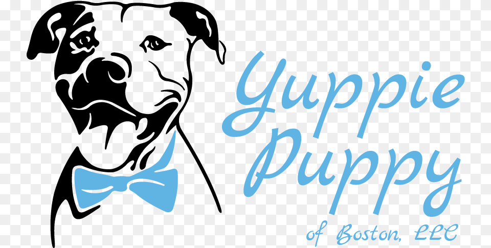 Yuppie Puppy Of Boston Dog Walking Pet Sitting Language, Accessories, Formal Wear, Tie, Text Png