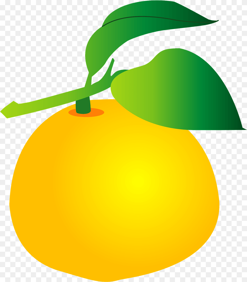 Yuzu Fruits Clipart, Citrus Fruit, Food, Fruit, Plant Png