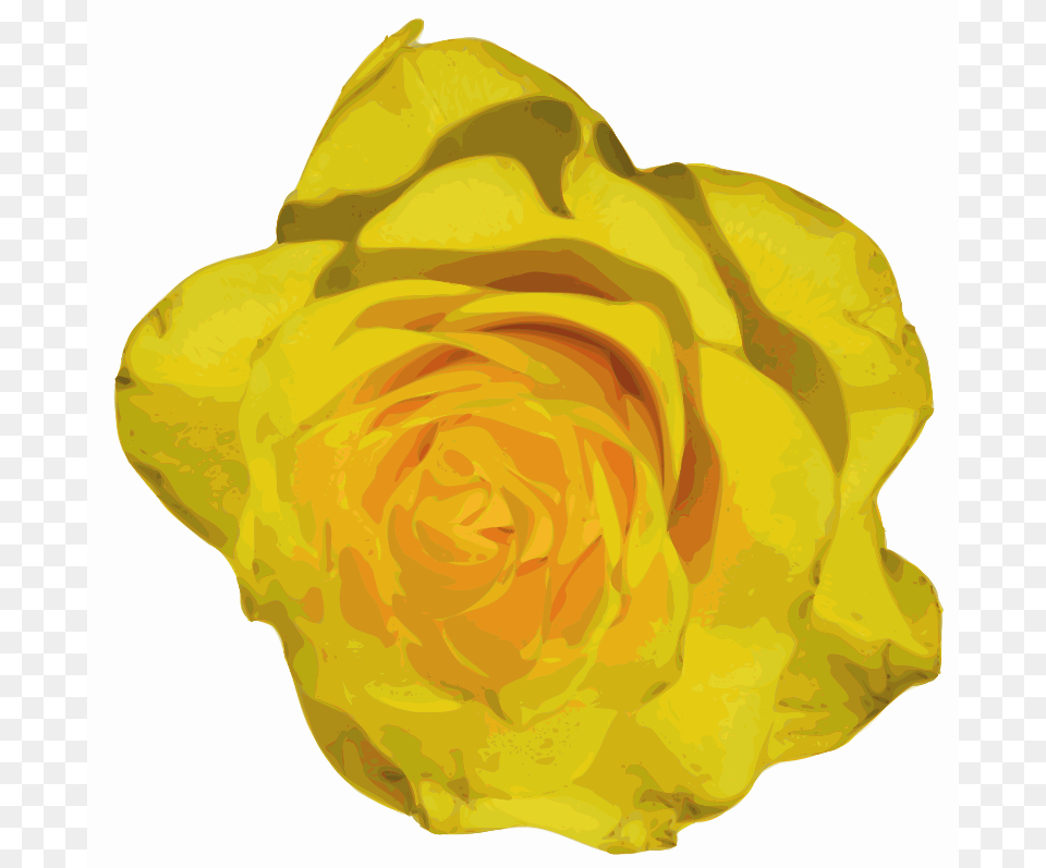 Yves Guillou Flower, Petal, Plant, Rose Free Transparent Png