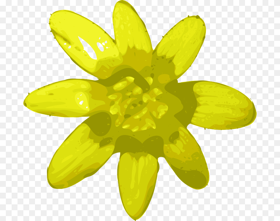 Yves Guillou Flower, Daisy, Plant, Petal, Daffodil Free Png