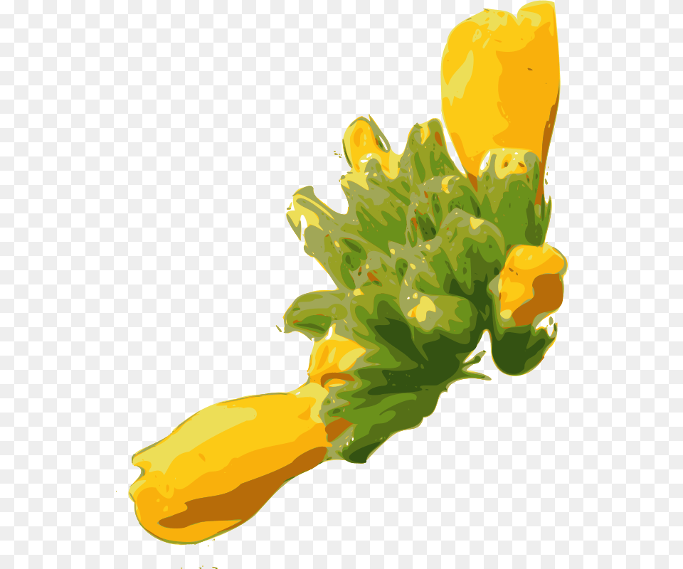 Yves Guillou Flower, Petal, Plant, Daffodil, Person Free Transparent Png