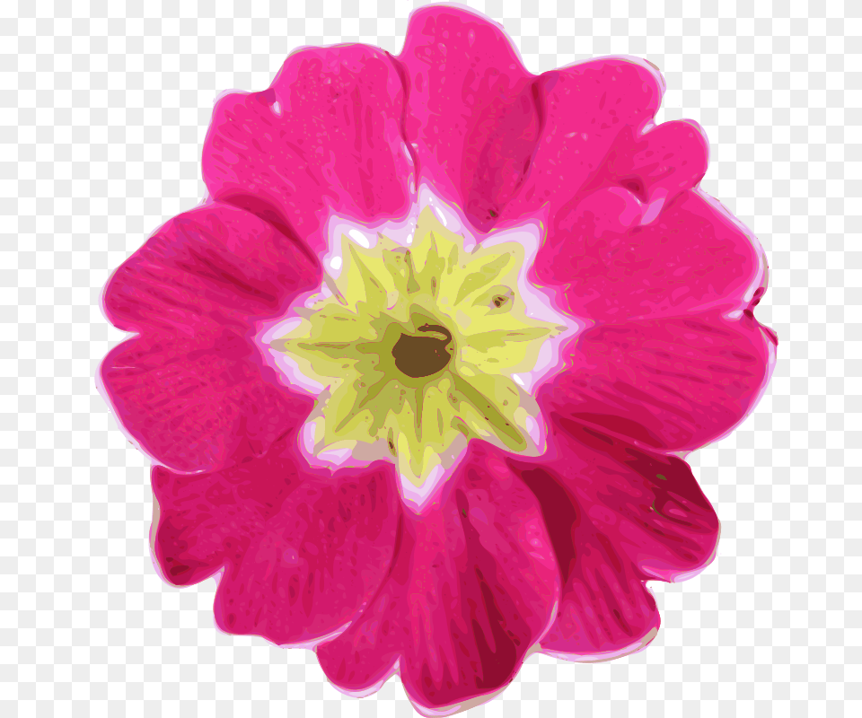 Yves Guillou Flower, Anemone, Anther, Dahlia, Geranium Png
