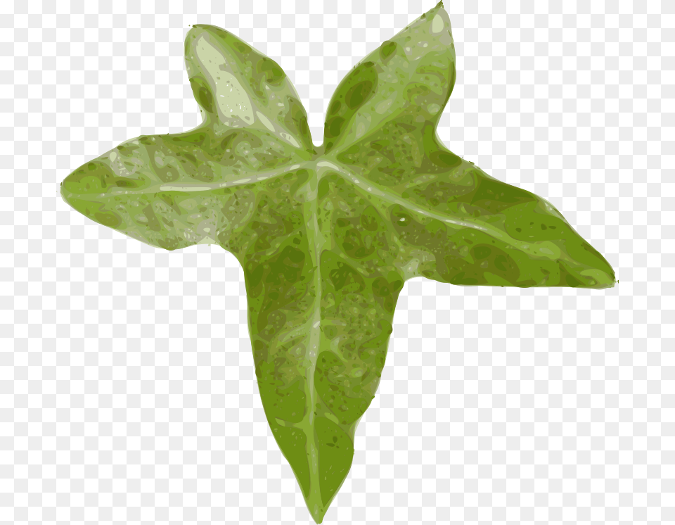 Yves Guillou Leaf, Plant, Tree Free Png Download