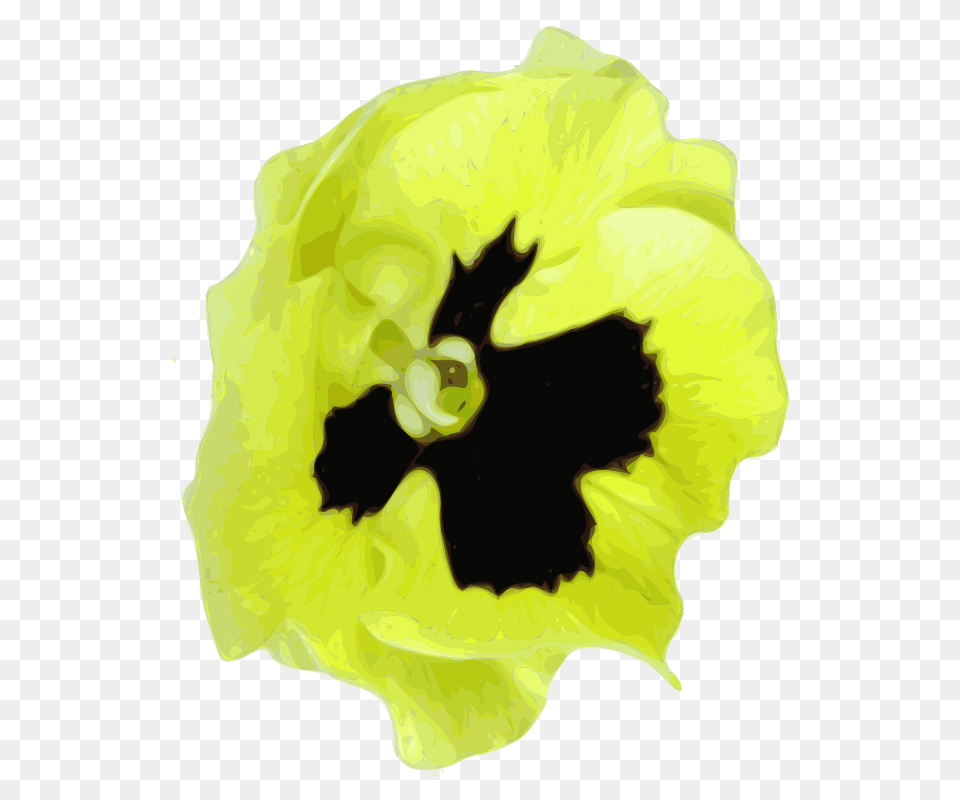 Yves Guillou Pensee, Flower, Petal, Plant, Adult Png Image