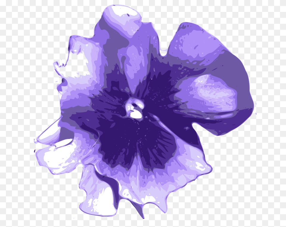 Yves Guillou Pensee, Flower, Petal, Plant, Purple Free Transparent Png